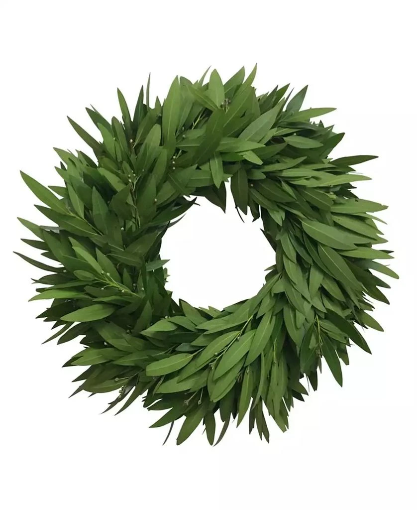 商品GreenishBlu|Fresh Bay Leaf Wreath, 20",价格¥471,第1张图片