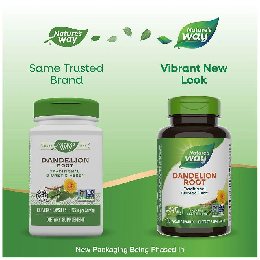 商品Nature's Way|Premium Herbal Dandelion Root 540 mg Dietary Supplement Capsules,价格¥83,第3张图片详细描述