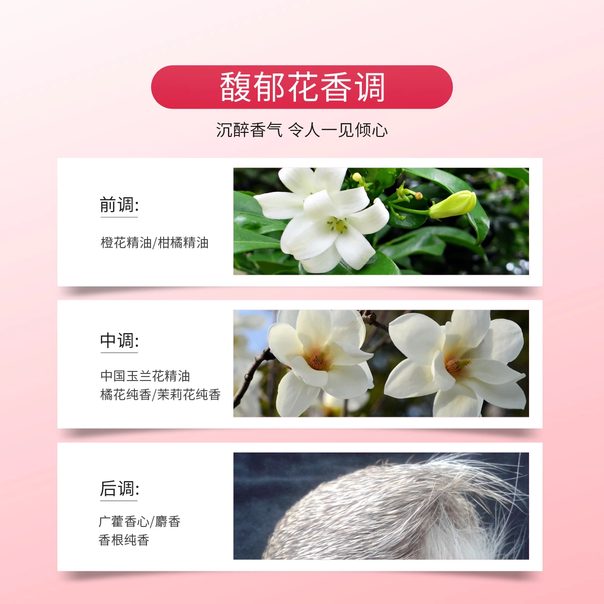 宝格丽醉美兰香女士香水50ml 商品
