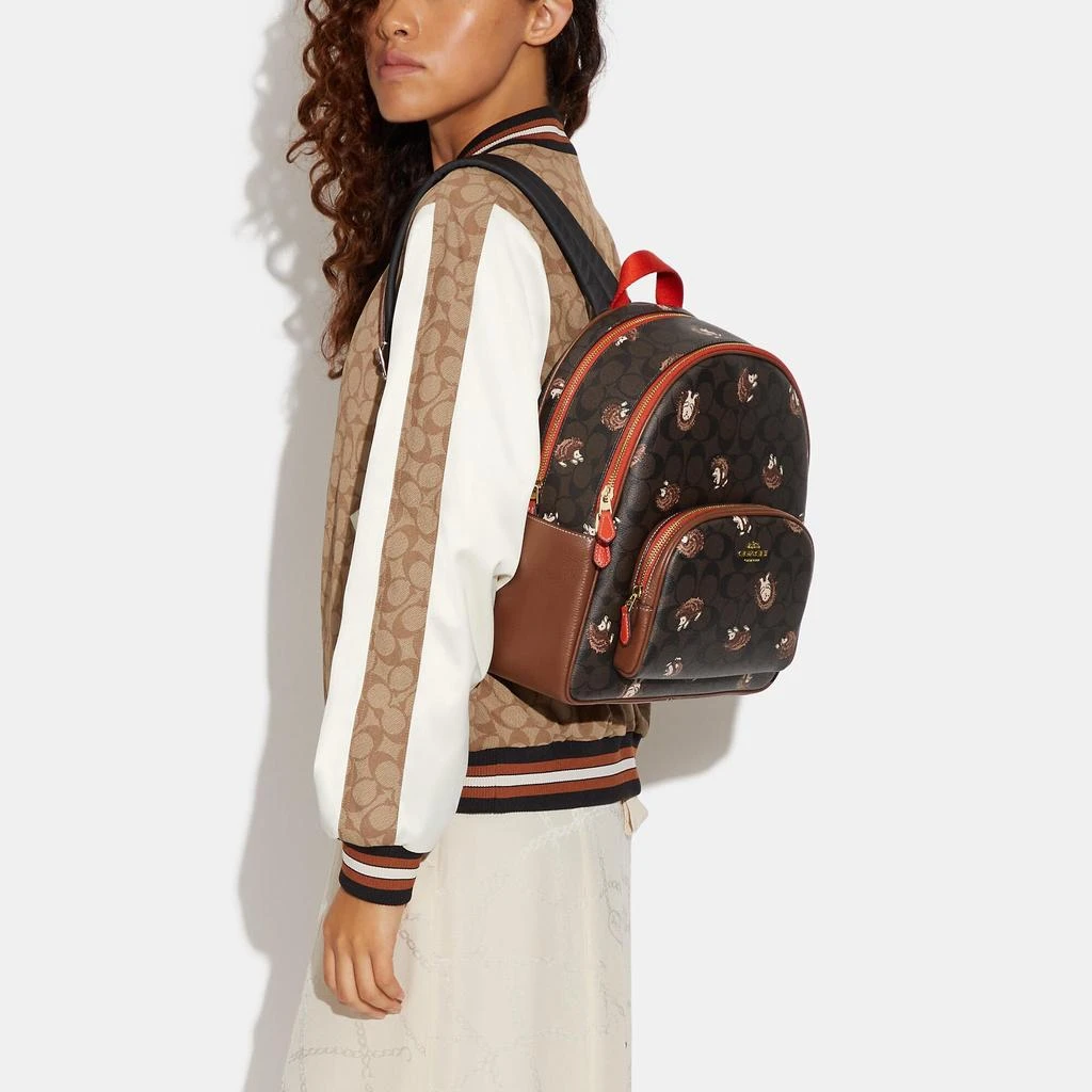 商品Coach|Coach Outlet Court Backpack In Signature Canvas With Hedgehog Print,价格¥1664,第3张图片详细描述