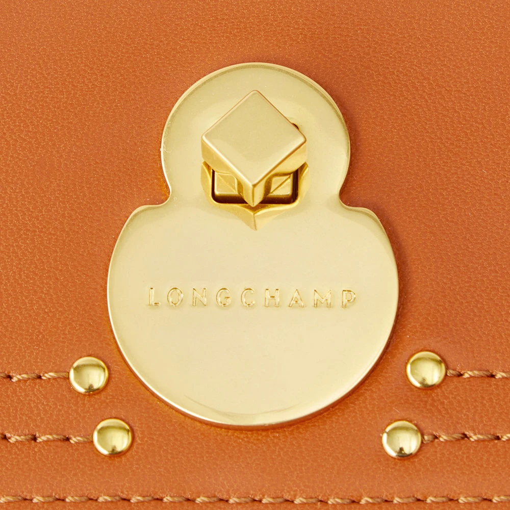 商品Longchamp|LONGCHAMP 女士橘黄色斜挎包 4559956D56,价格¥1000,第1张图片