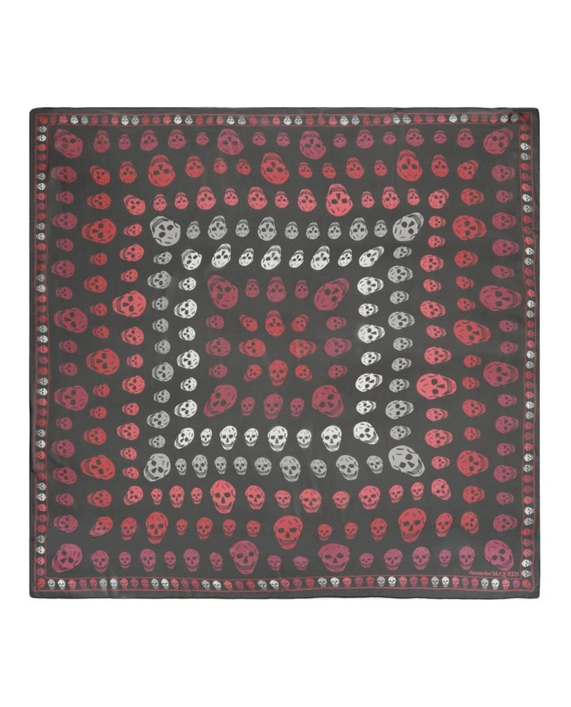 商品Alexander McQueen|Box Skull Scarf,价格¥1733,第1张图片