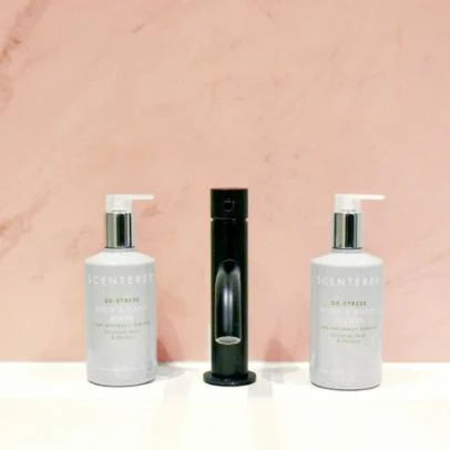 商品Scentered|DE-STRESS Wash and Lotion Duo 300 MILLILITER,价格¥264,第1张图片