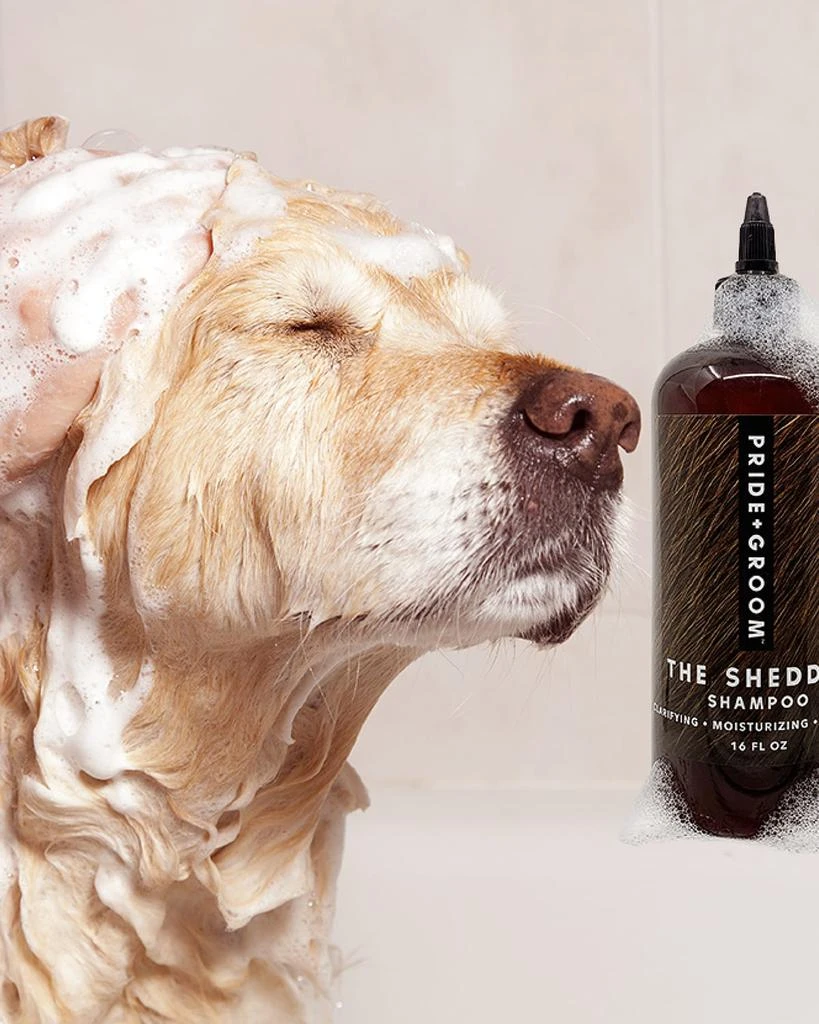 商品Pride + Groom|16 oz. The Shedder Dog Shampoo,价格¥249,第4张图片详细描述