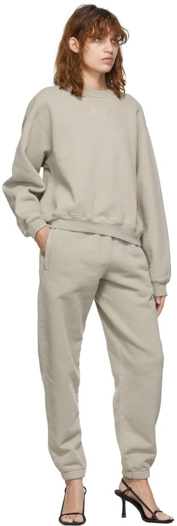 商品Alexander Wang|Taupe Structured Puff Logo Sweatshirt,价格¥954,第4张图片详细描述
