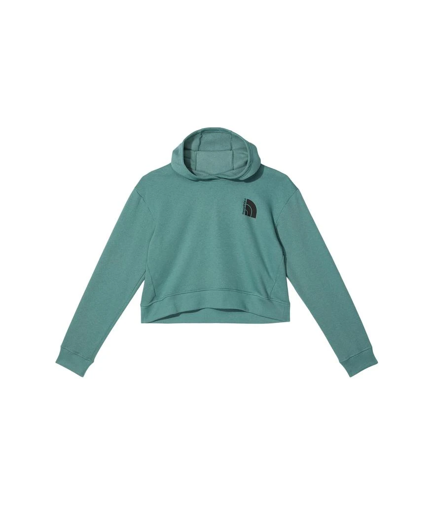 商品The North Face|Camp Fleece Pullover Hoodie (Little Kids/Big Kids),价格¥179,第1张图片