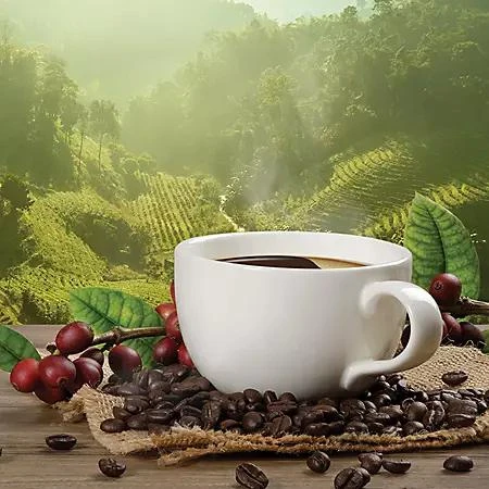 商品Barrie House|Barrie House Whole Bean Coffee, Colombian Supremo (40 oz.),价格¥131,第5张图片详细描述