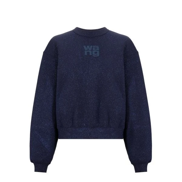 商品Alexander Wang|Sweatshirt en jersey pailleté,价格¥2177,第1张图片