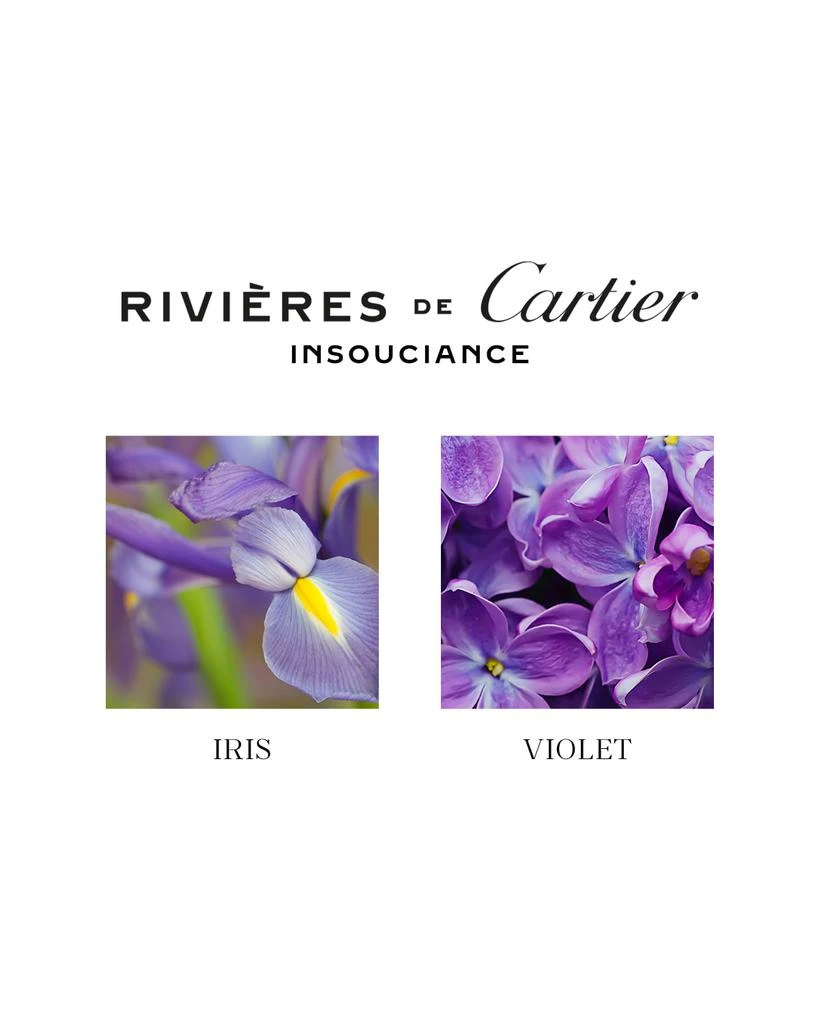 商品Cartier|Rivieres de Cartier Insouciance, 3.3 oz.,价格¥903,第2张图片详细描述