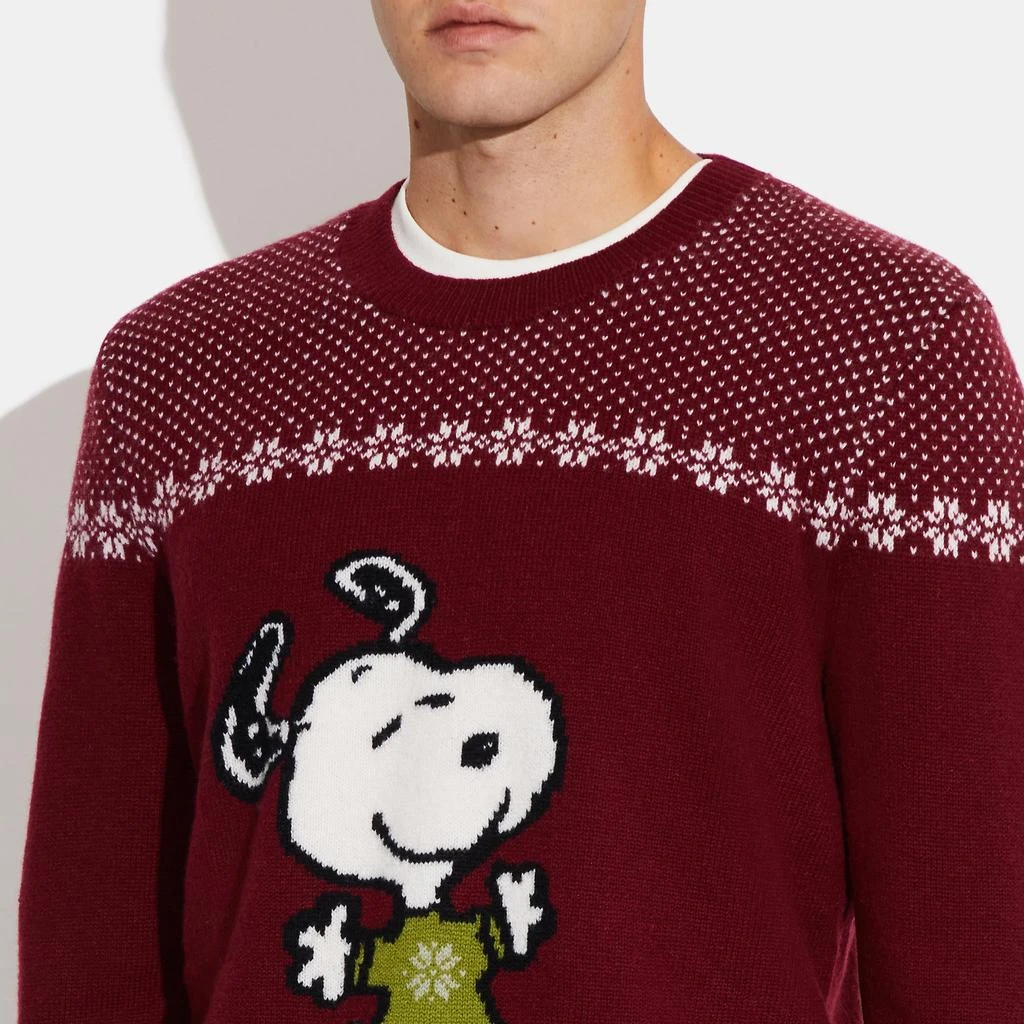 商品Coach|Coach Outlet Coach X Peanuts Snoopy Sweater,价格¥1935,第3张图片详细描述