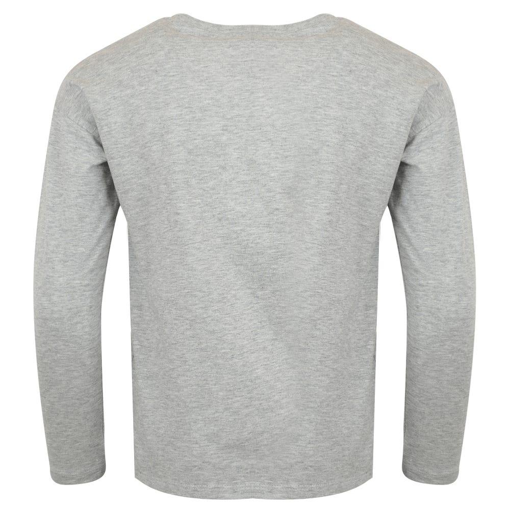 Grey Long Sleeve Cheetah T Shirt商品第3张图片规格展示