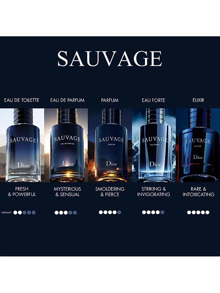 Sauvage Parfum 商品