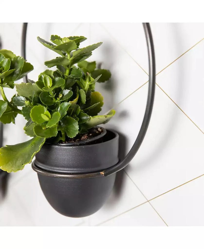 商品Danya B|Urban Green 2-Piece Metal Hanging Planter Set,价格¥553,第5张图片详细描述