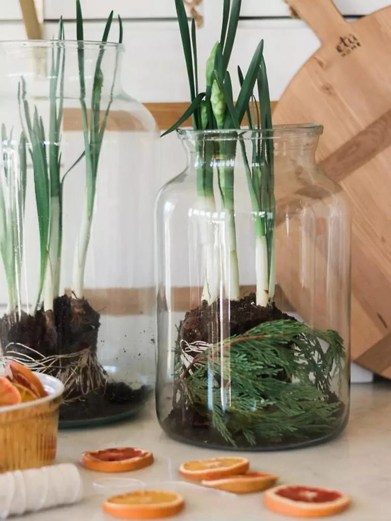 商品etúHome|Glass Mason Jar,价格¥494,第5张图片详细描述