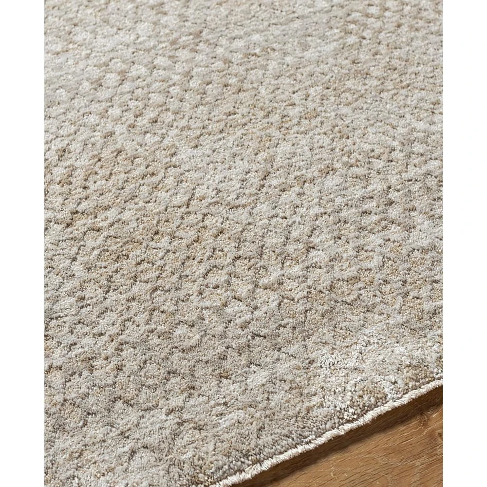 商品Surya|Masterpiece High-Low MPC-2302 2' x 2'11" Area Rug,价格¥672,第3张图片详细描述