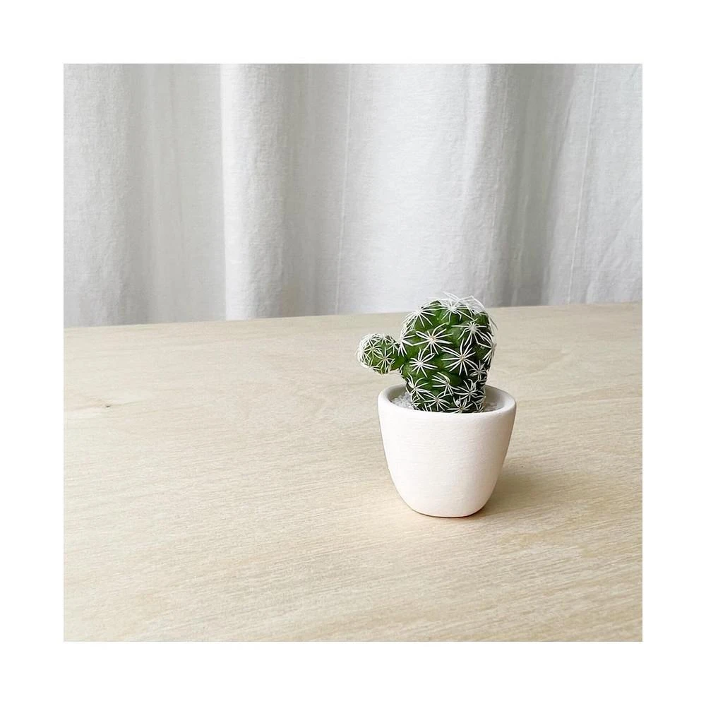 商品Tierra Sol Studio|Lino Mini Cactus Kit,价格¥165,第1张图片