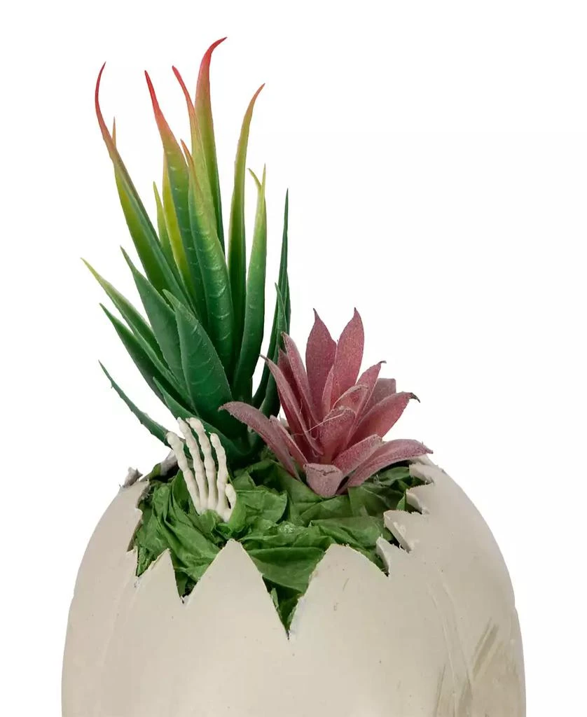 商品Northlight|8.75" LED Lighted Succulent Halloween Skull Planter,价格¥522,第4张图片详细描述
