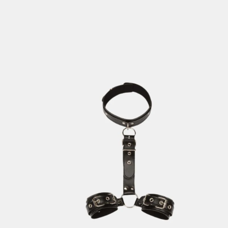 商品Vigor|BDSM Neck Restraint And Upscale Cat Mask Costume Multi Pack (Bulk 3 Sets) 3 PACK,价格¥447,第2张图片详细描述