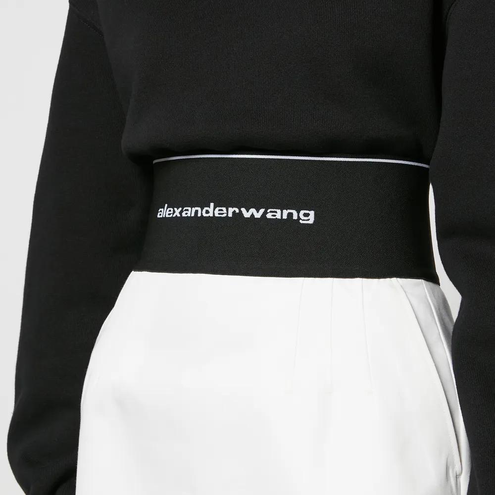 商品Alexander Wang|Alexander Wang Women's Mini Skirt,价格¥4625,第6张图片详细描述