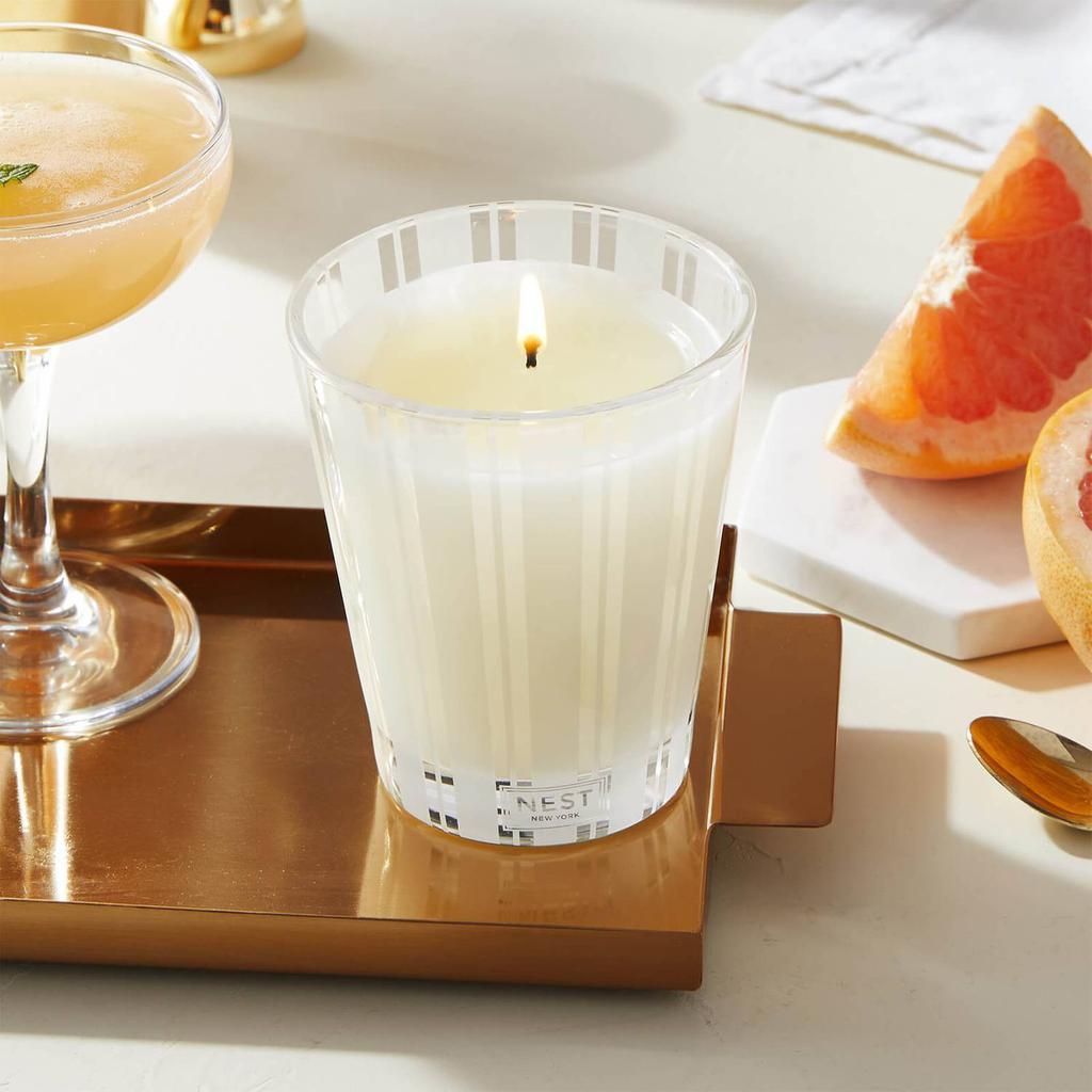 商品NEST New York|NEST Fragrances Grapefruit Classic Candle,价格¥334,第4张图片详细描述