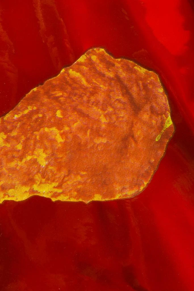 HYPE X KFC RED HOLOGRAPHIC BACKPACK 商品