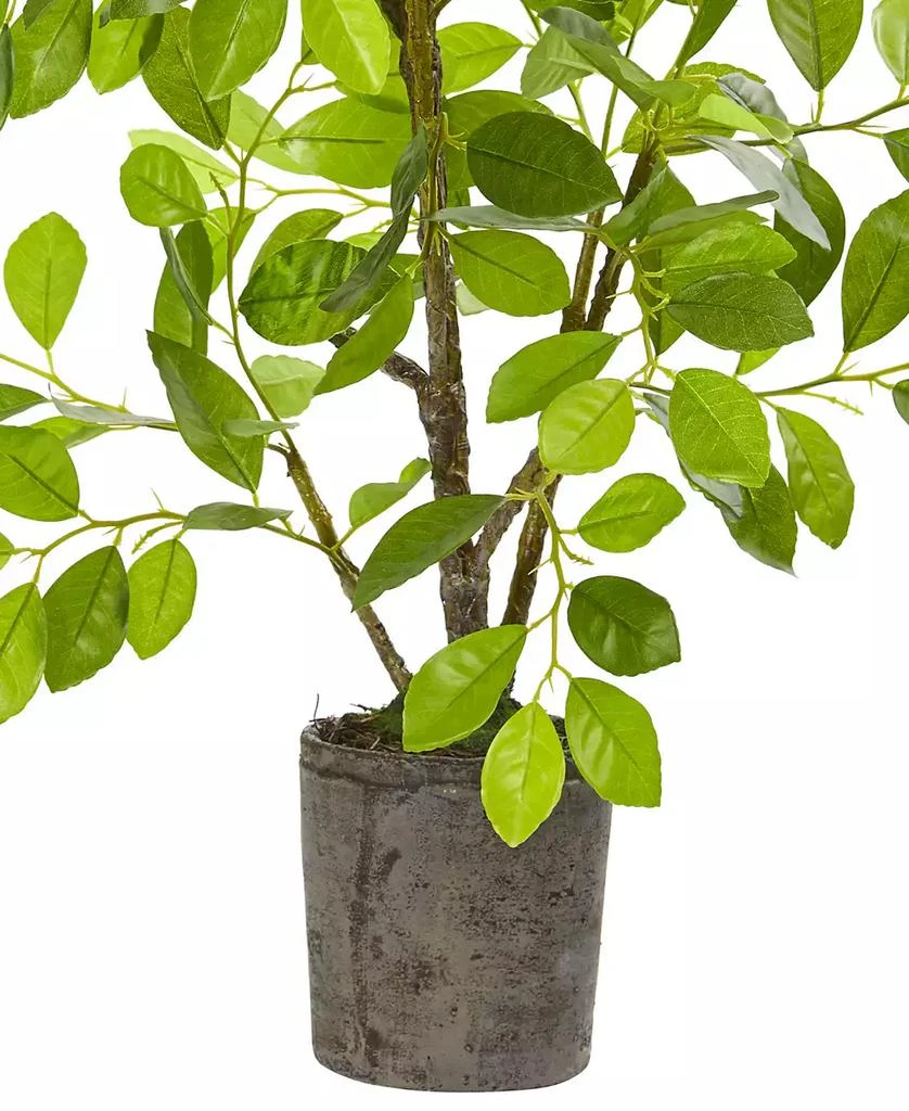 商品NEARLY NATURAL|3' Ficus Artificial Tree in Planter,价格¥895,第2张图片详细描述