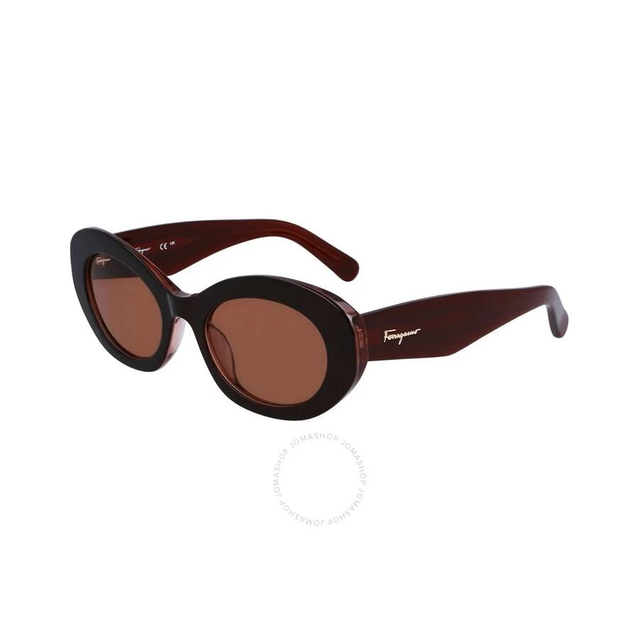 商品Salvatore Ferragamo|Brown Oval Ladies Sunglasses SF1080S 211 53,价格¥590,第1张图片