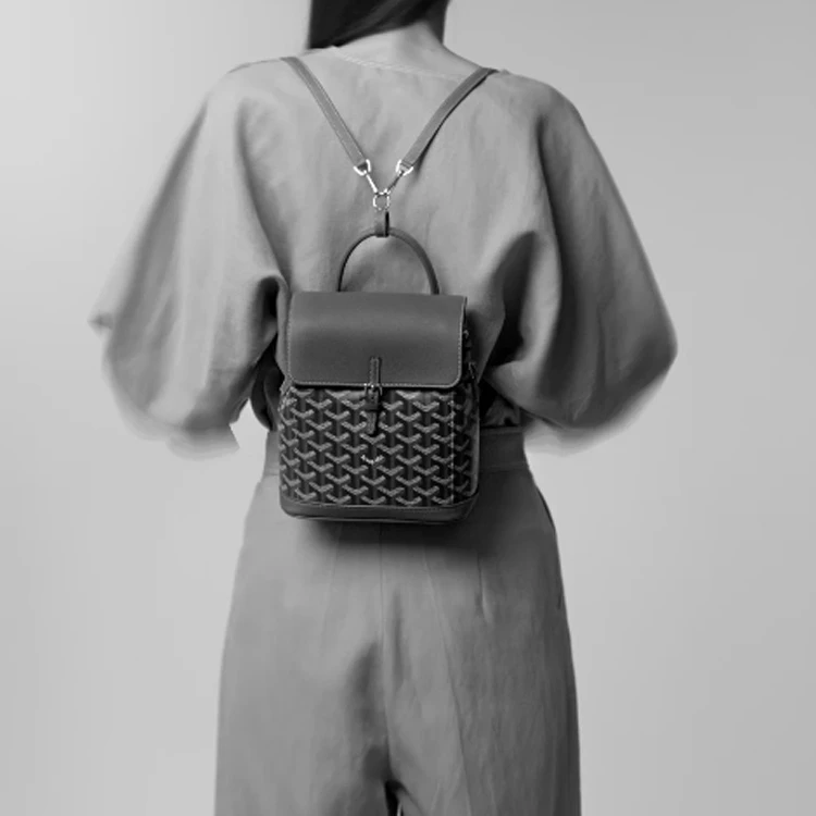 商品[国内直发] Goyard|戈雅 Alpine 老花满印可拆卸可调节肩带帆布拼牛皮背包双肩包 迷你 女款 灰色,价格¥30978,第8张图片详细描述