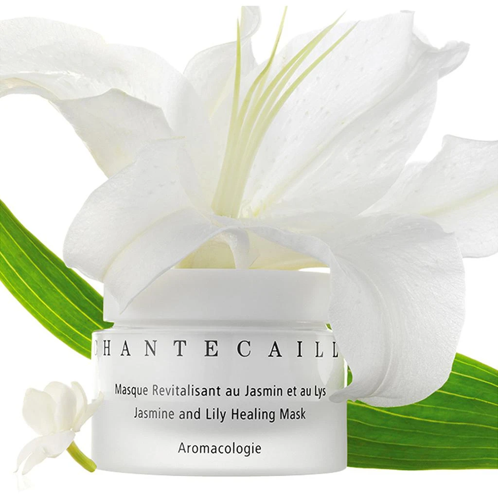 Chantecaille Jasmine and Lily Healing Mask 2