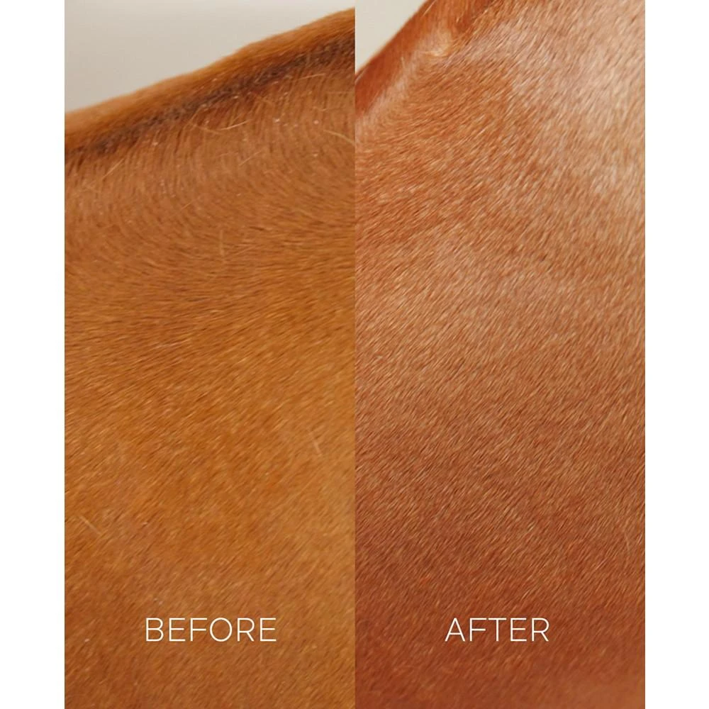 商品Petcode Paws|Hypoallergenic Shampoo Puppy, Dog Shampoo with Argan Oil,价格¥150,第3张图片详细描述