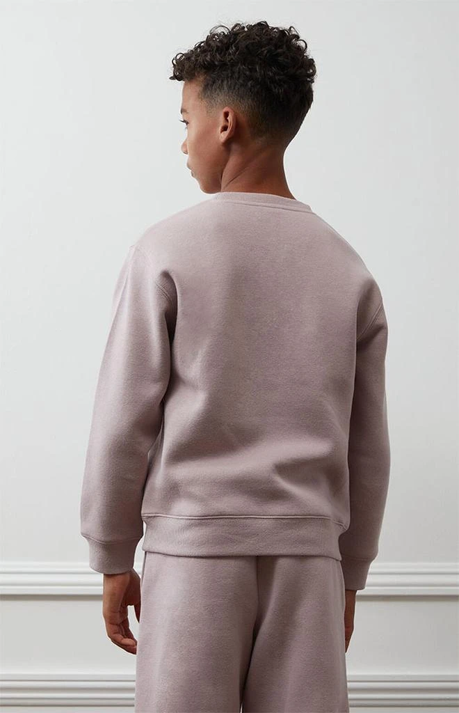 商品PacSun Kids|Light Gray Embroidered Crew Neck Sweatshirt,价格¥112,第4张图片详细描述