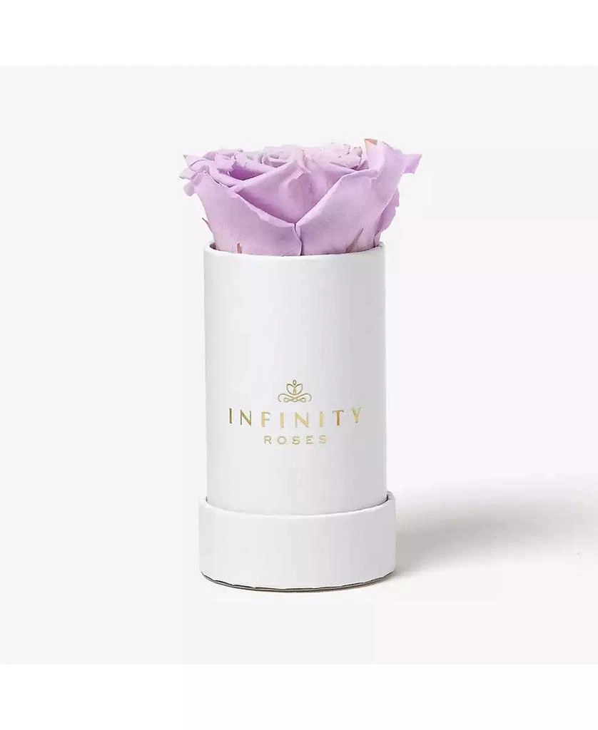 商品Infinity Roses|Single Lavender Real Rose Preserved To Last Over A Year,价格¥299,第1张图片