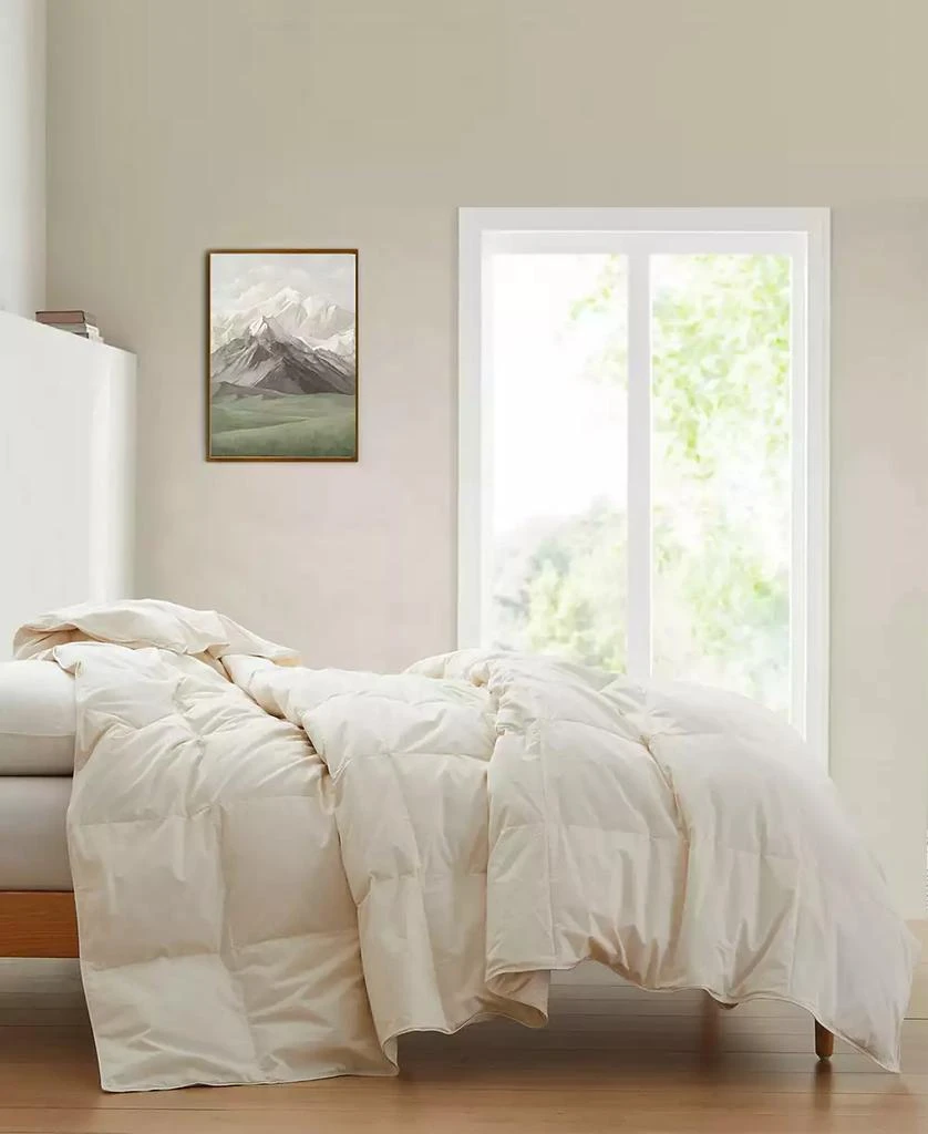 Lightweight 300 Thread Count Cotton Down Fiber Comforter 商品