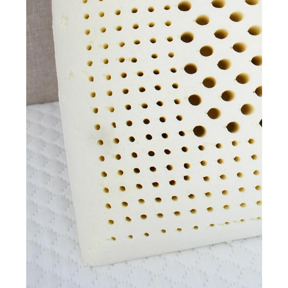 商品eLuxury|Natural Foam Latex Pillow, Pack of 2,价格¥3035,第2张图片详细描述
