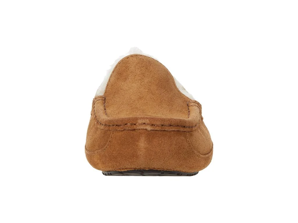 Ascot (Little Kid/Big Kid) 商品