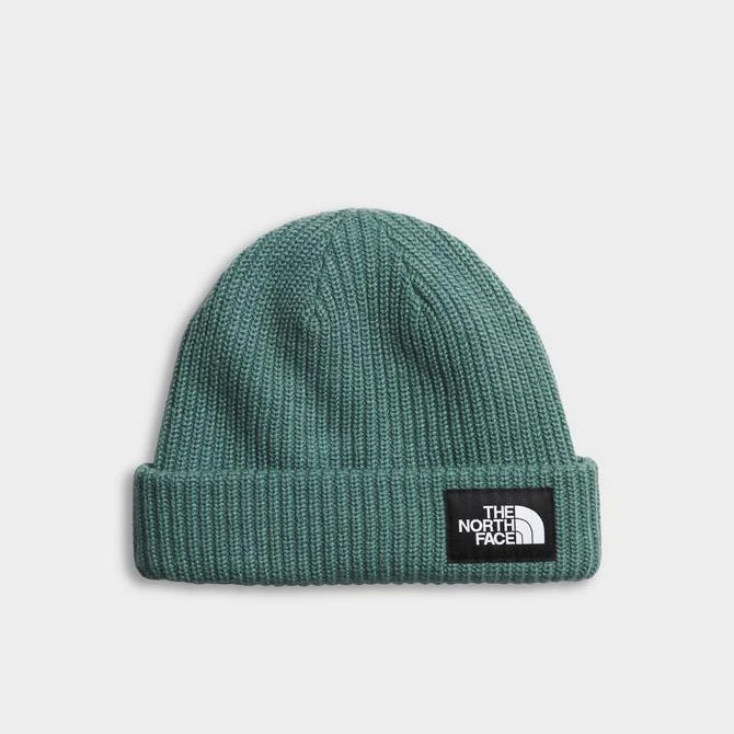 商品The North Face|The North Face Salty Dog Beanie Hat,价格¥148,第2张图片详细描述