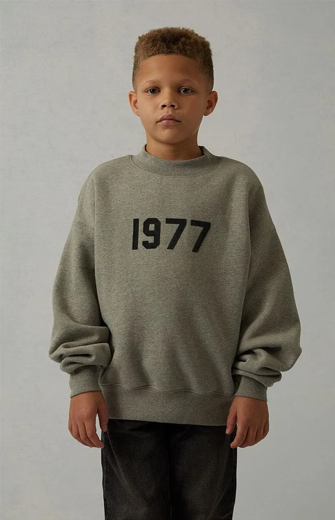 商品Essentials|Dark Oatmeal Crew Neck Sweatshirt,价格¥206,第2张图片详细描述