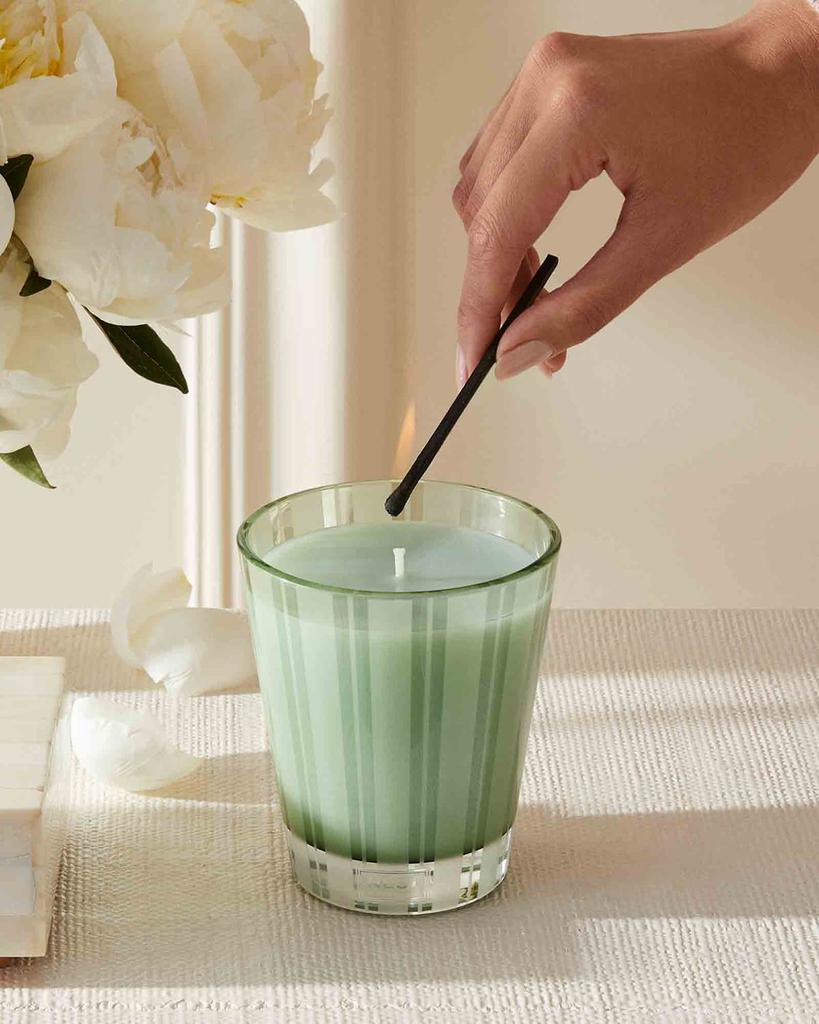 8.1 oz. Wild Mint & Eucalyptus Classic Candle商品第4张图片规格展示