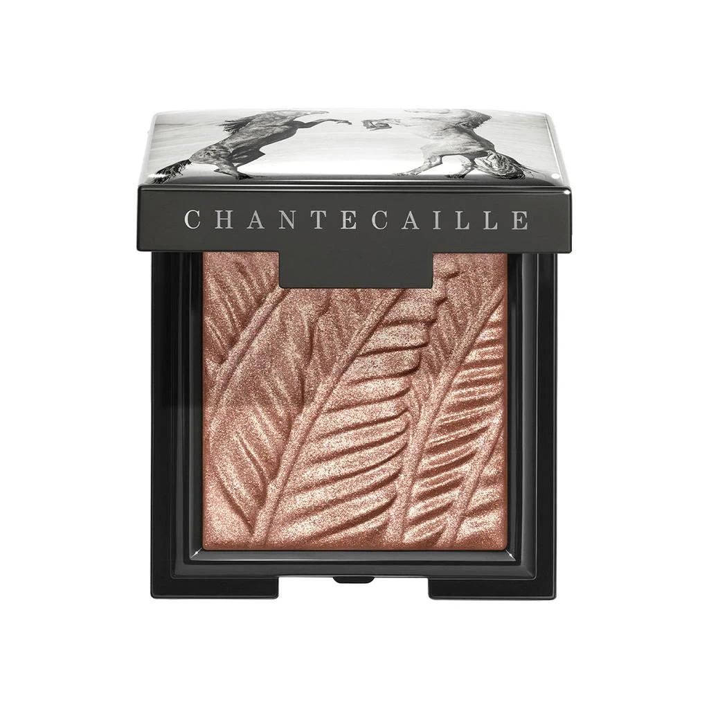 商品Chantecaille|Wild Mustang Luminescent Eye Shade (Limited Edition),价格¥432,第1张图片