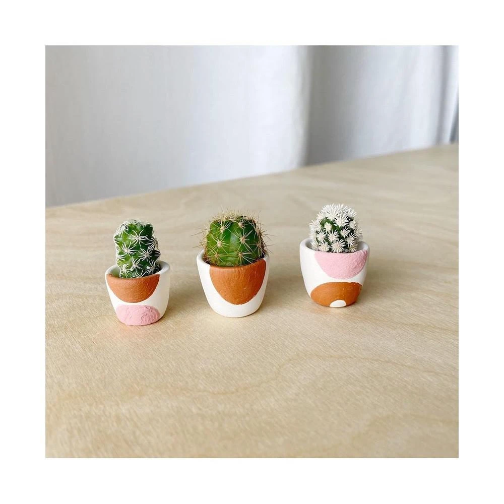 商品Tierra Sol Studio|Sonora Mini Cactus Collection,价格¥412,第2张图片详细描述