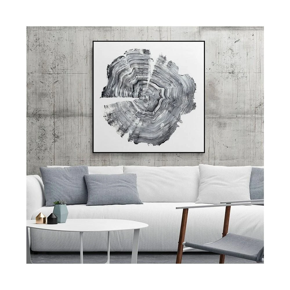 商品Giant Art|20" x 20" Tree Ring Abstract IV Art Block Framed Canvas,价格¥2143,第4张图片详细描述