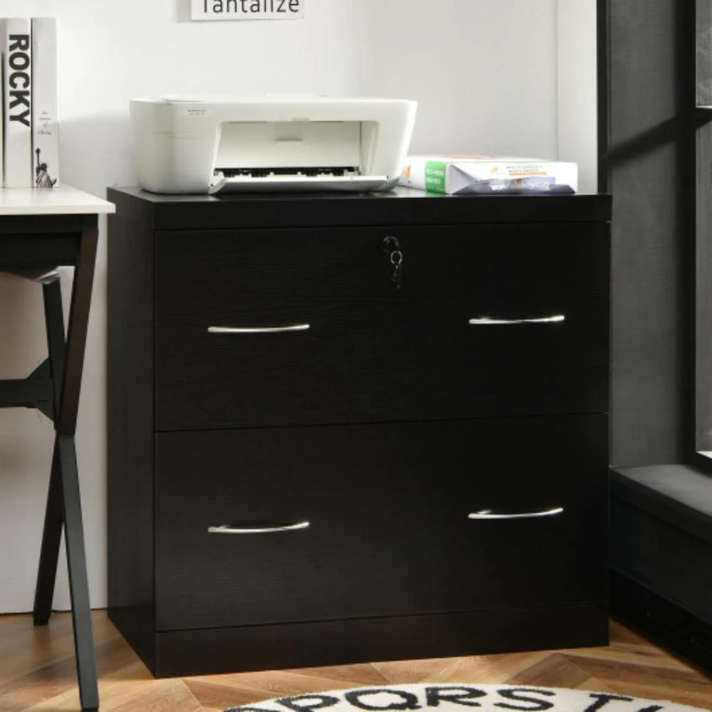 商品Hivvago|2-Drawer File Cabinet with Lock Hinging Bar Letter and Legal Size-Black,价格¥1304,第1张图片