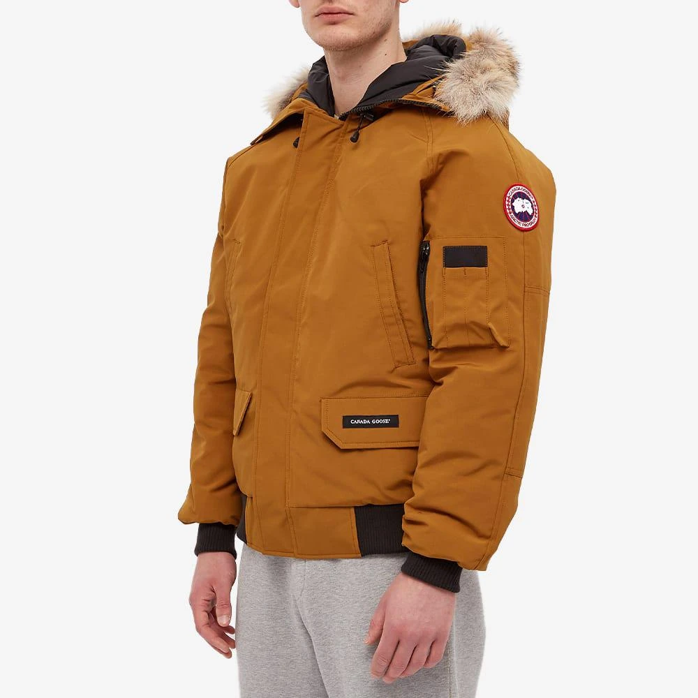 商品Canada Goose|Canada Goose Chilliwack Bomber Jacket,价格¥9884,第5张图片详细描述