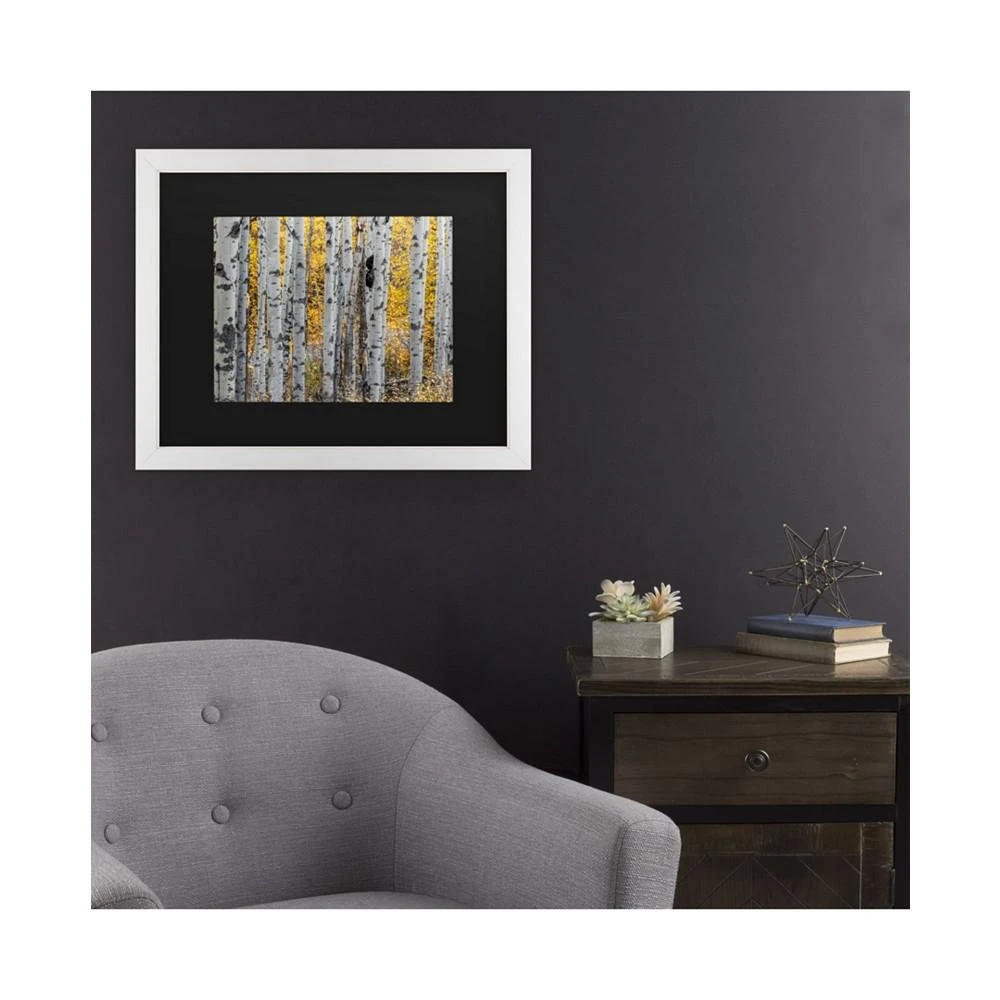 商品Trademark Global|Pierre Leclerc Aspen Trees Matted Framed Art - 20" x 25",价格¥432,第3张图片详细描述
