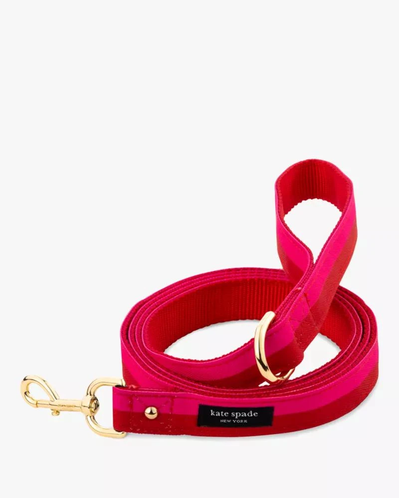 商品Kate Spade|Colorblock Leash,价格¥243,第1张图片详细描述