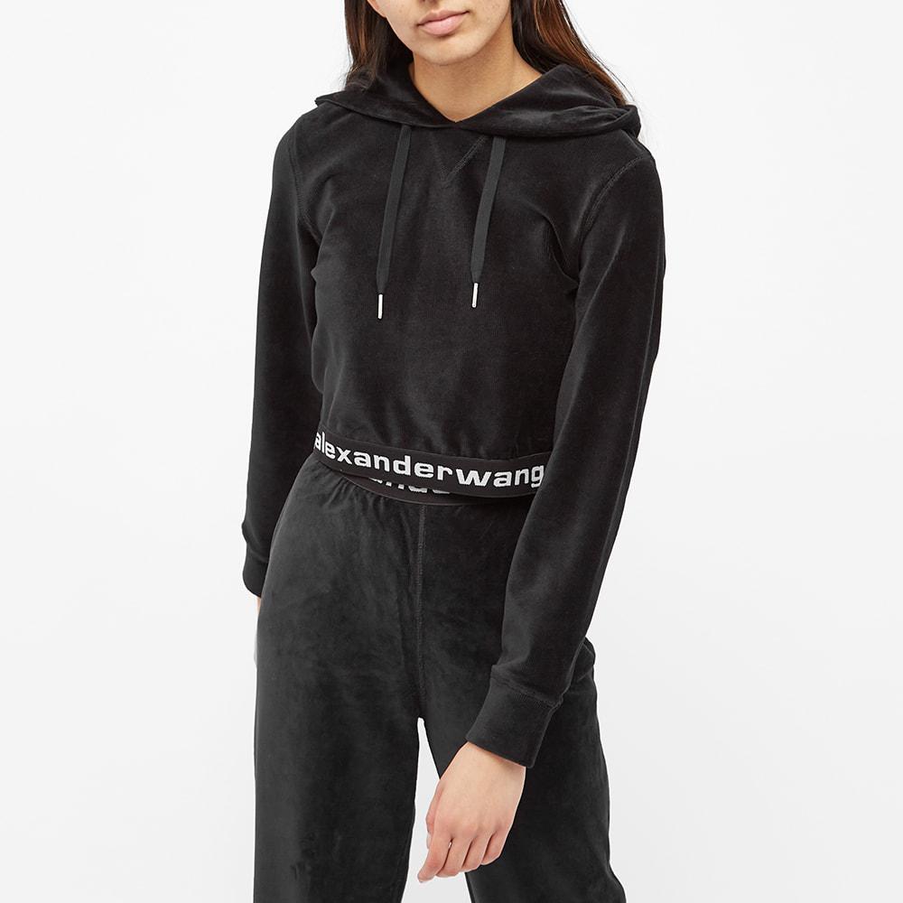 Alexander Wang Cropped Hoody商品第3张图片规格展示