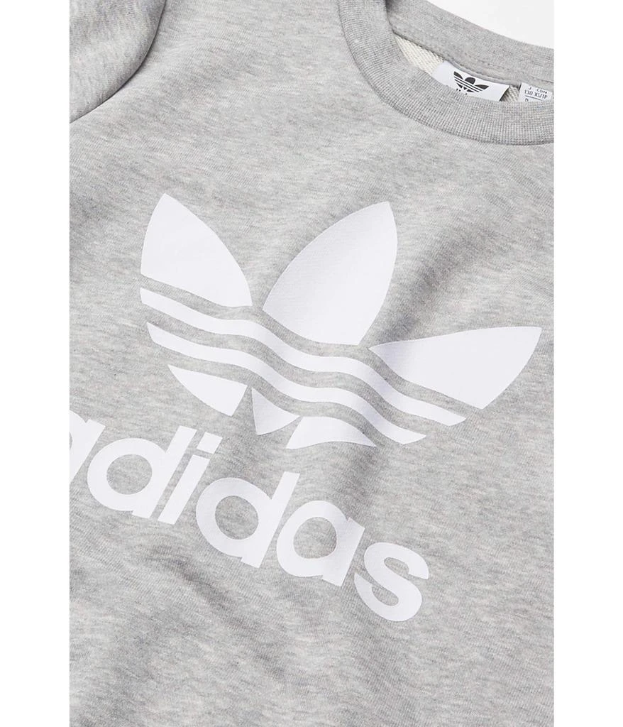 商品Adidas|Trefoil Crew (Little Kids/Big Kids),价格¥341,第2张图片详细描述