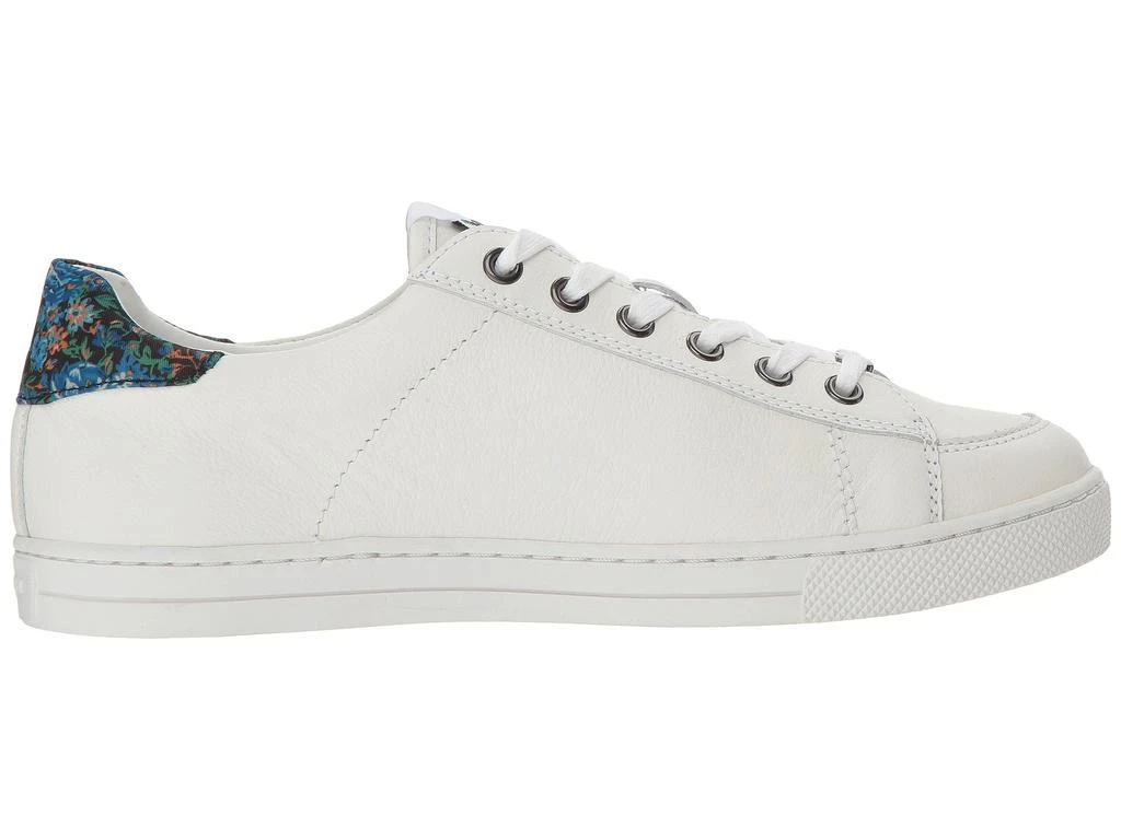 C126 Low Top Sneaker 商品