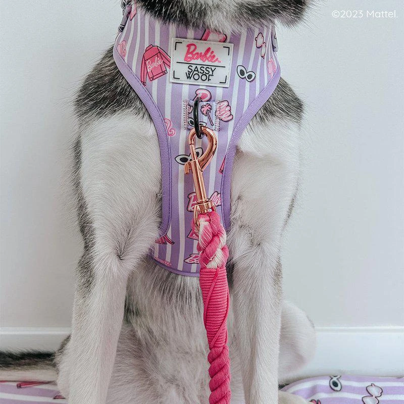 商品Sassy Woof|Dog Rope Leash BARBIE™,价格¥274,第2张图片详细描述