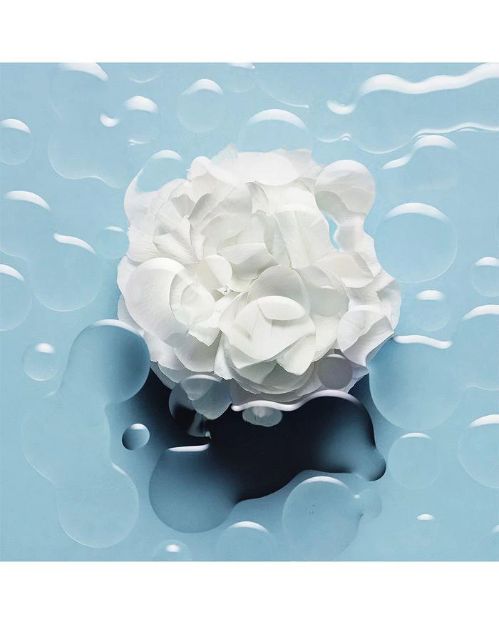 商品Chanel|山茶花保湿微精华露 30ml,价格¥819,第4张图片详细描述
